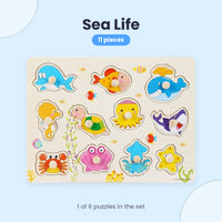 Sea Animals